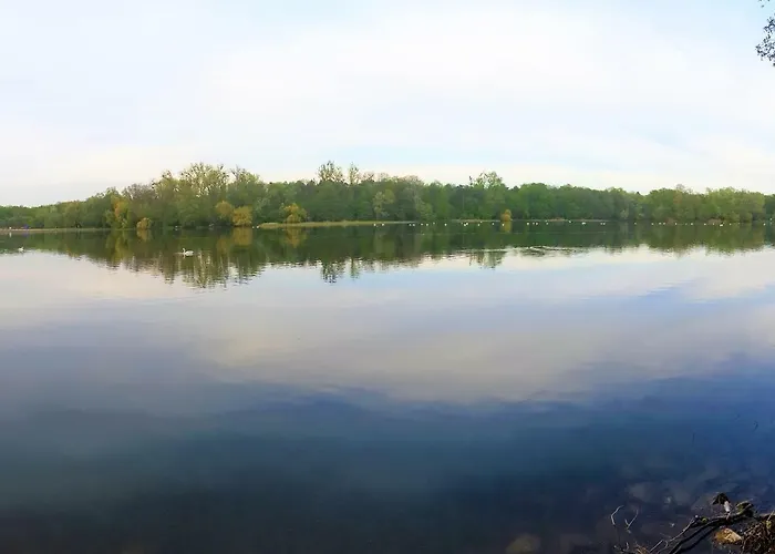 B&f Business & Family Nalkowskiej * Poznan